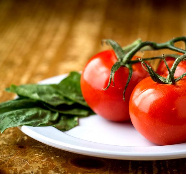 Geröstete Tomatensoße
